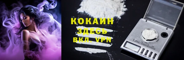 первитин Няндома