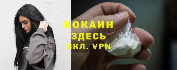 первитин Няндома