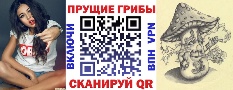 Псилоцибиновые грибы Psilocybe  Братск 