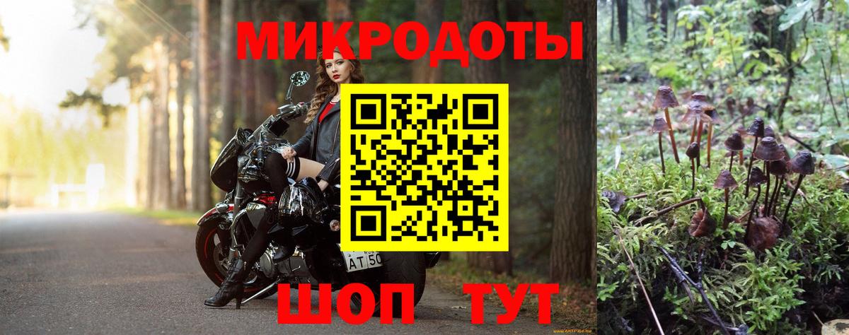 Псилоцибиновые грибы GOLDEN TEACHER  Галлюциногенные грибы Magic Shrooms  Братск 