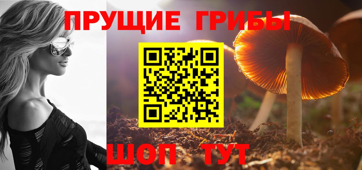 Галлюциногенные грибы прущие грибы Братск
